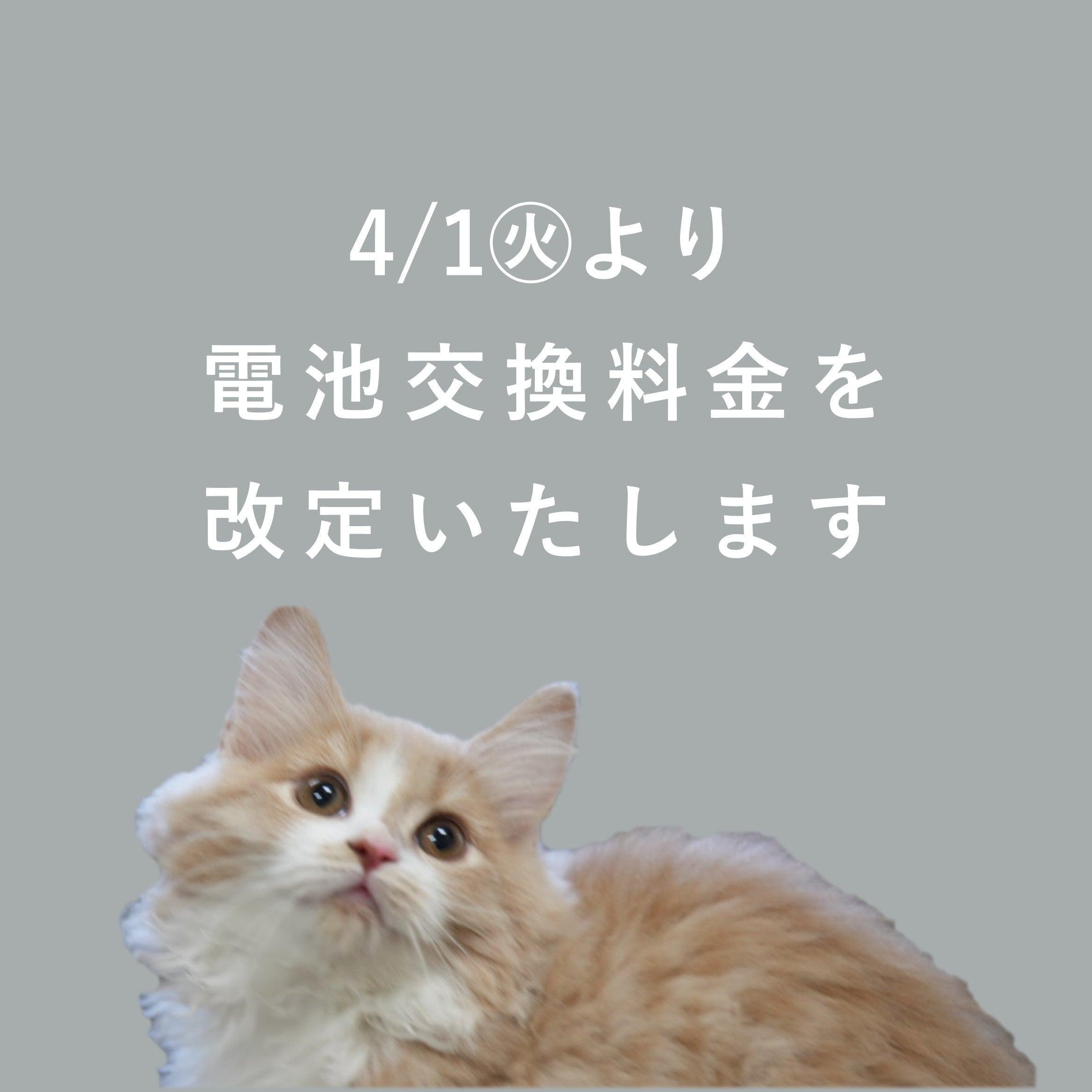 時計電池交換料金の改定について