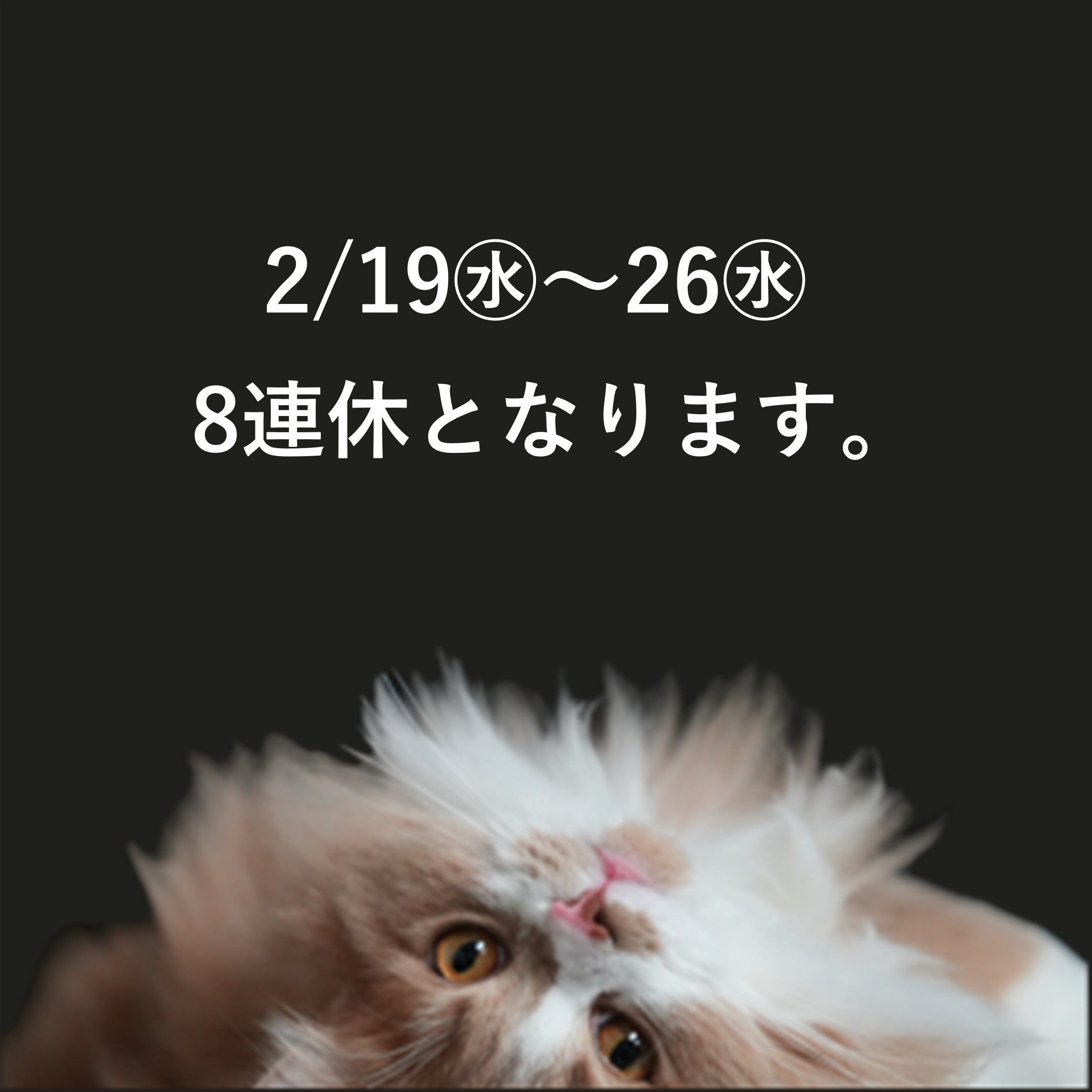 2/19㊌～2/16㊌ の8日間は臨時休業となります。