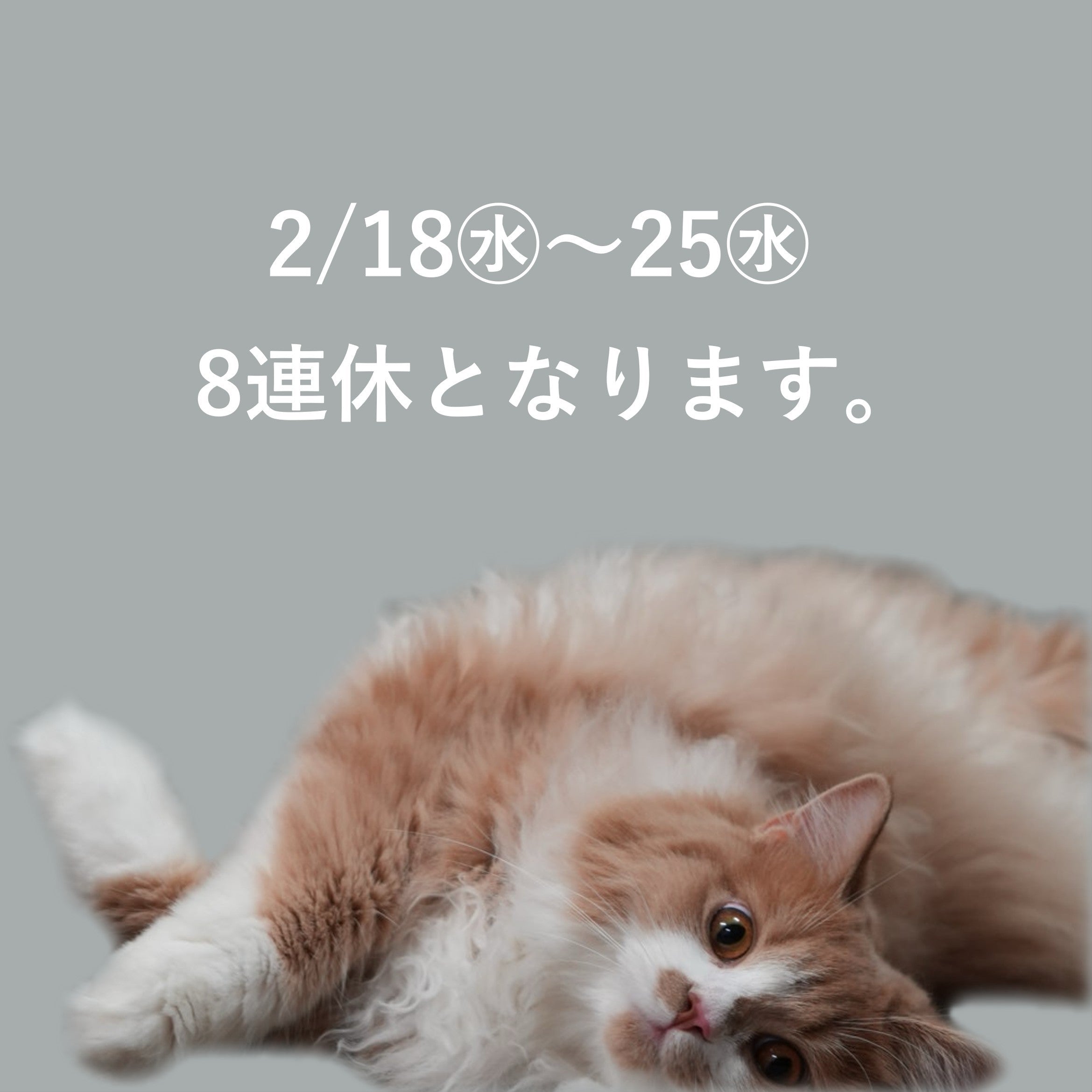 2/18㊌～2/25㊌ の8日間は臨時休業となります。