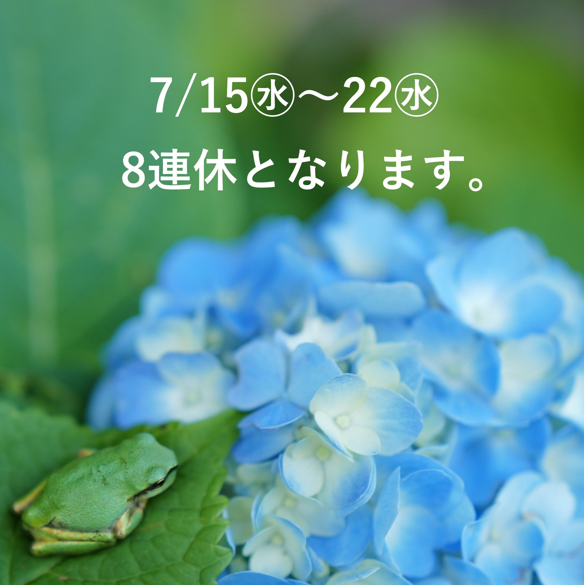 7/15㊌～7/22㊌ の8日間は臨時休業となります。