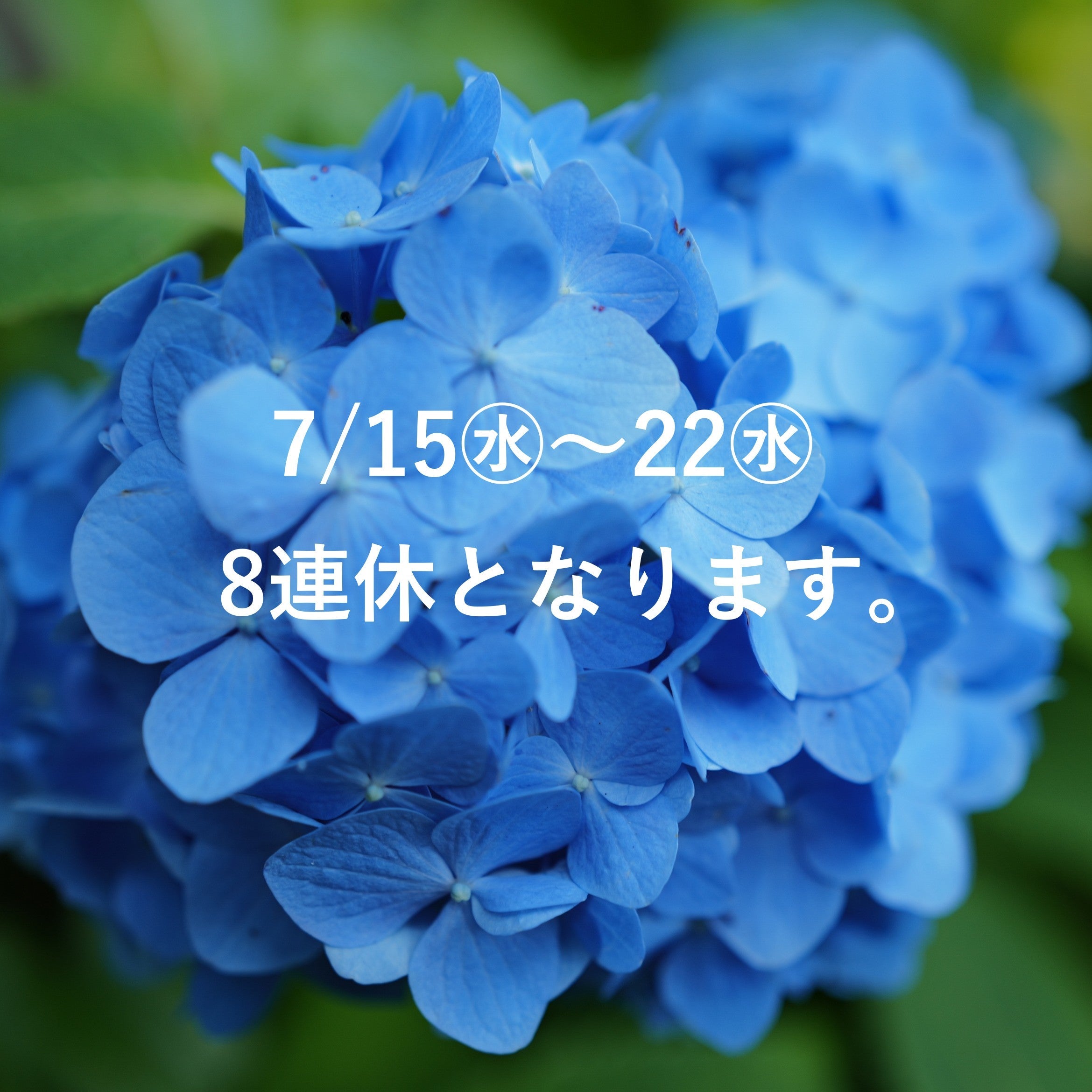 7/15㊌～7/22㊌ の8日間は臨時休業となります。